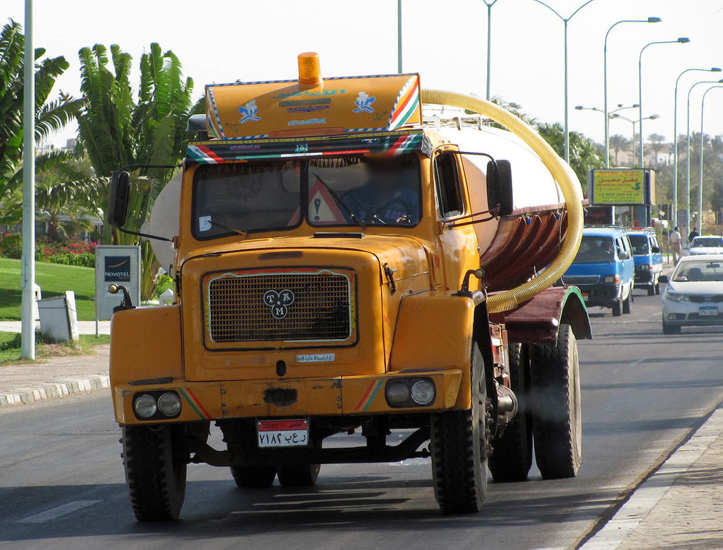 Египет, № 7182 BER — TAM 170 T14