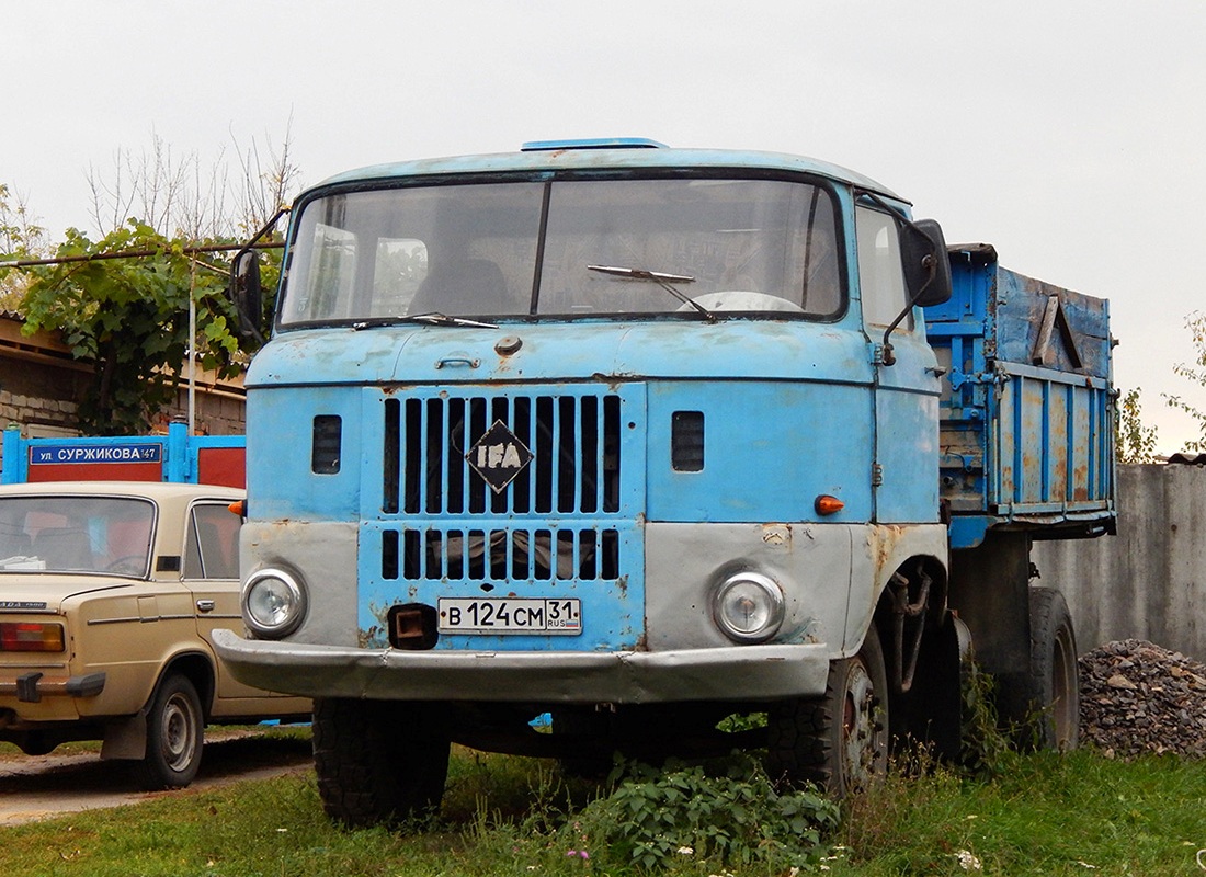 Белгородская область, № В 124 СМ 31 — IFA W50L/K