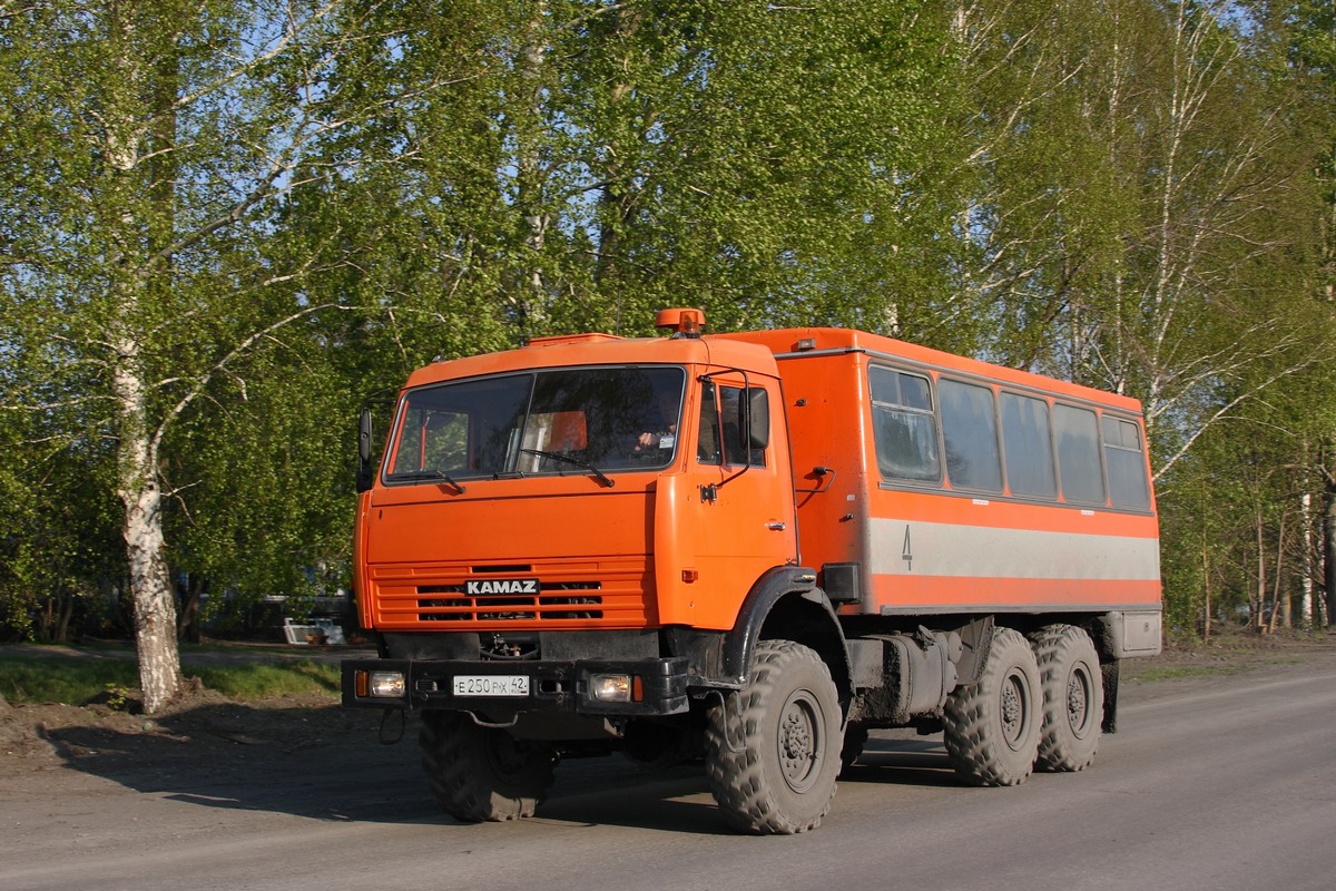 Кемеровская область, № Е 250 РХ 42 — КамАЗ-43114-15 [43114R]