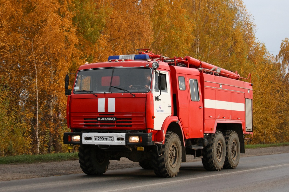 Томская область, № М 290 УМ 70 — КамАЗ-43114-02 [43114C]