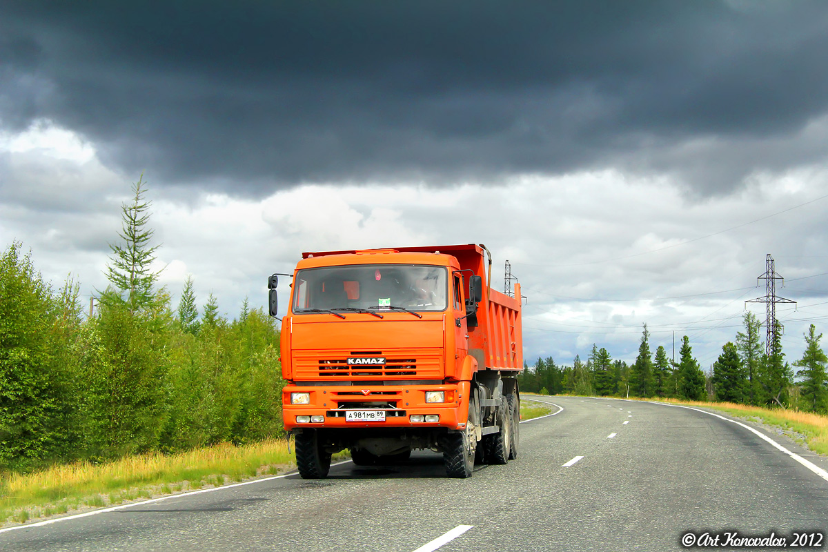 Ямало-Ненецкий автоном.округ, № А 981 МВ 89 — КамАЗ-6522 [652200]