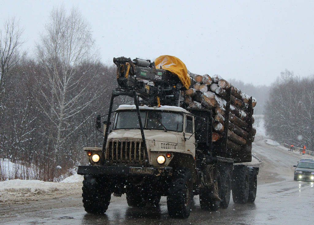 Рязанская область, № Е 867 ЕА 62 — Урал-43204