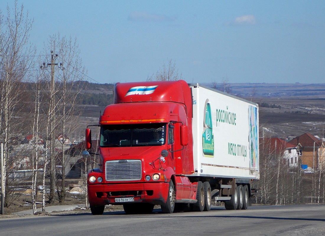 Белгородская область, № Е 616 ОК 31 — Freightliner Century Class