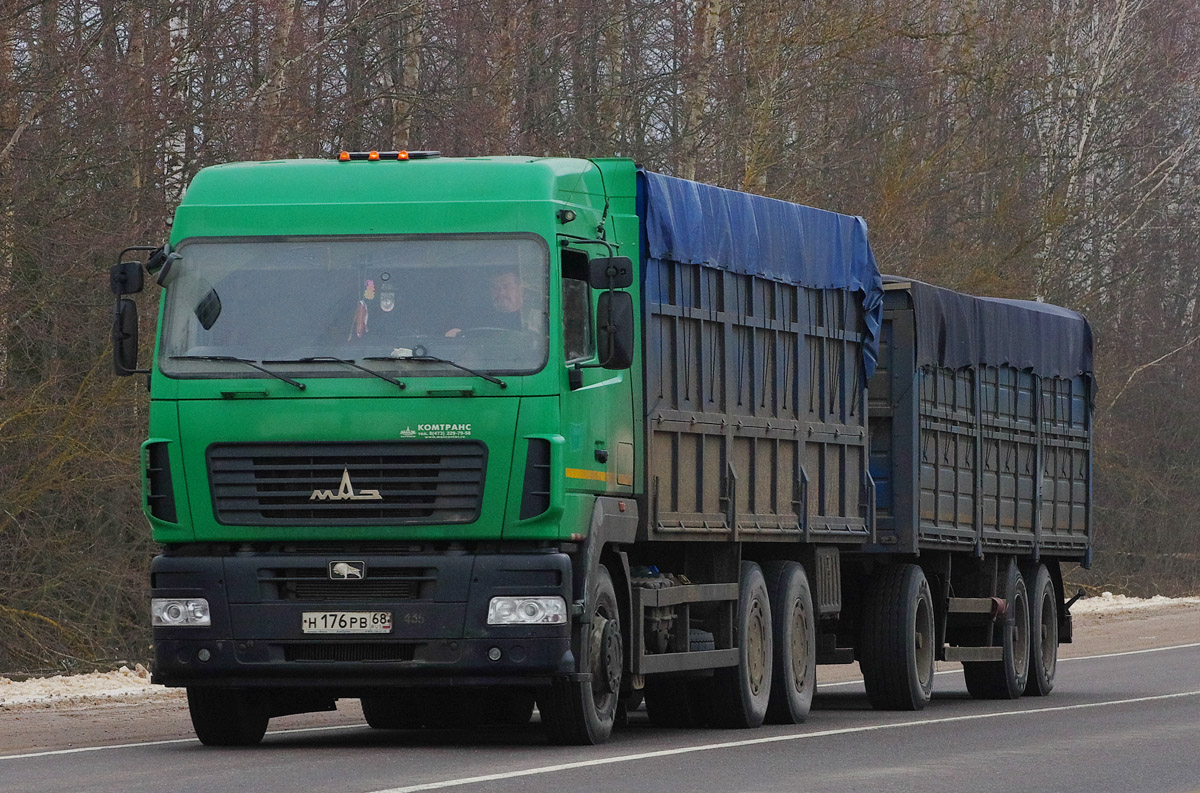 Тамбовская область, № Н 176 РВ 68 — МАЗ-6312B9