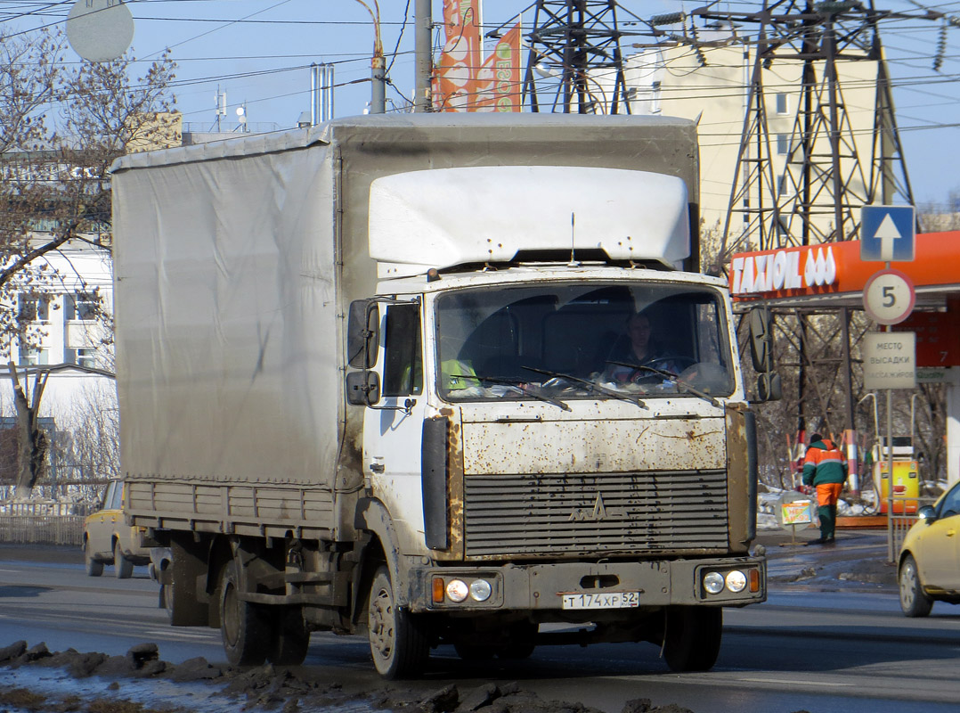 Нижегородская область, № Т 174 ХР 52 — МАЗ-437041 "Зубрёнок"