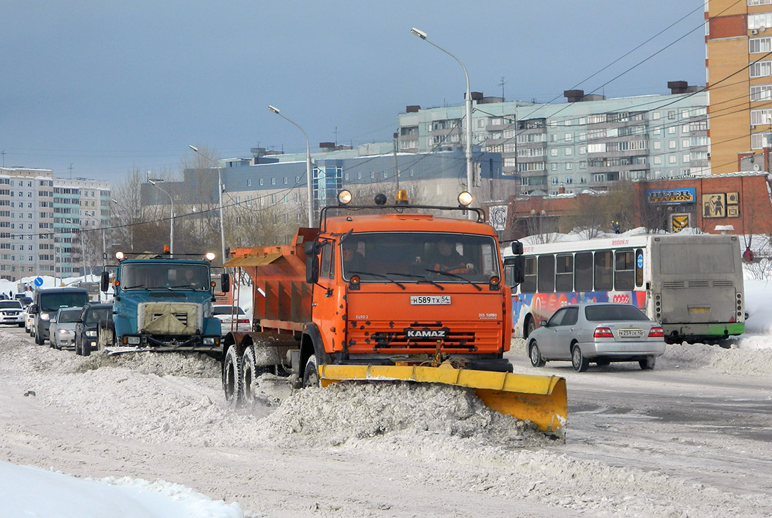 Новосибирская область, № Н 589 ТХ 54 — КамАЗ-65115-D3