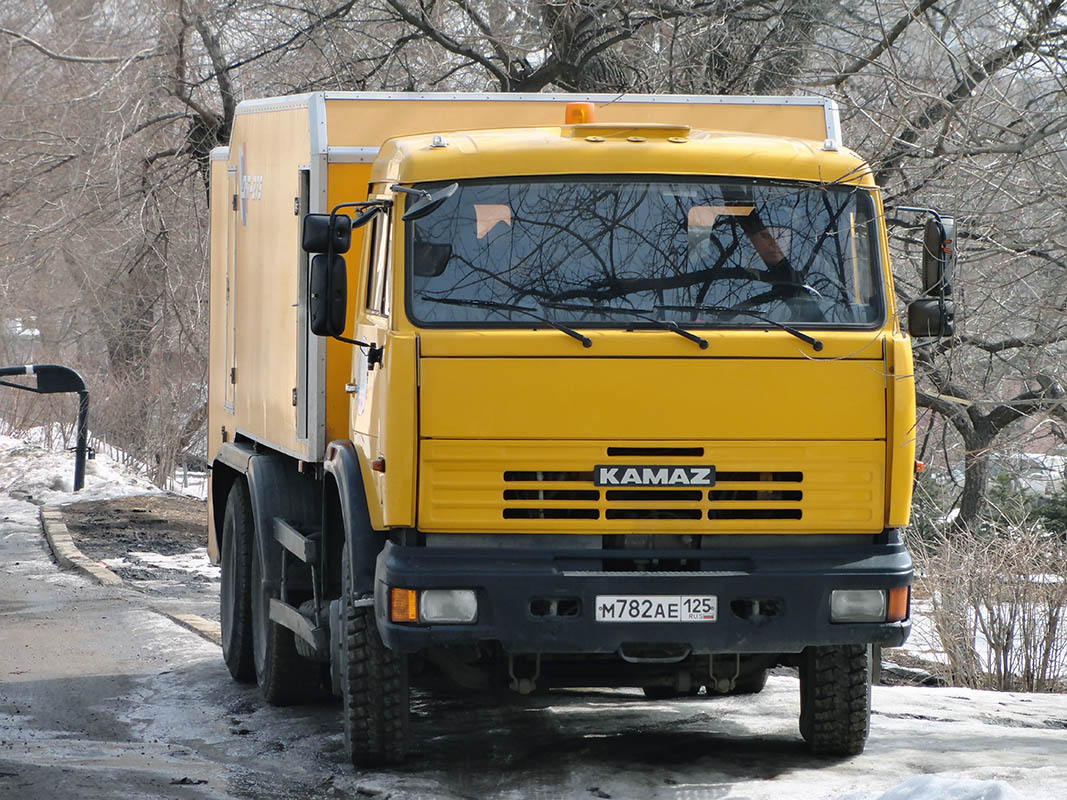 Приморский край, № М 782 АЕ 125 — КамАЗ-65115 (общая модель)