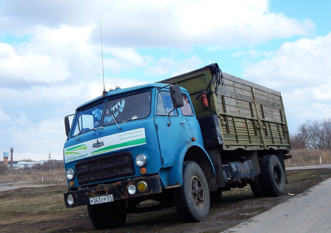 Белгородская область, № Р 263 СР 31 — МАЗ-5335