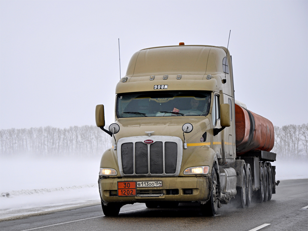 Новосибирская область, № В 113 ОО 154 — Peterbilt 387