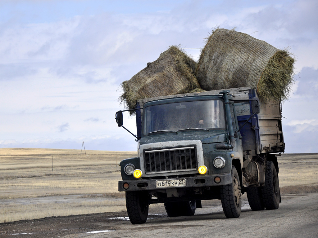 Алтайский край, № О 619 КН 22 — ГАЗ-4301