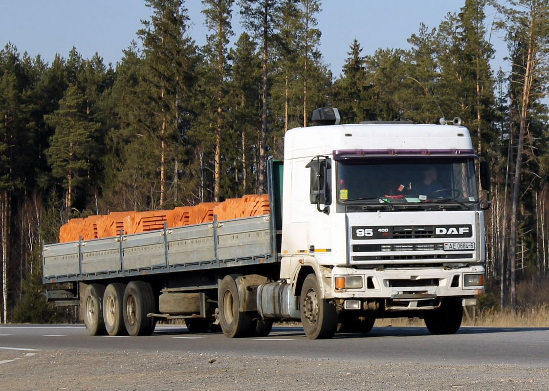 Могилёвская область, № АЕ 0684-6 — DAF 95 FT