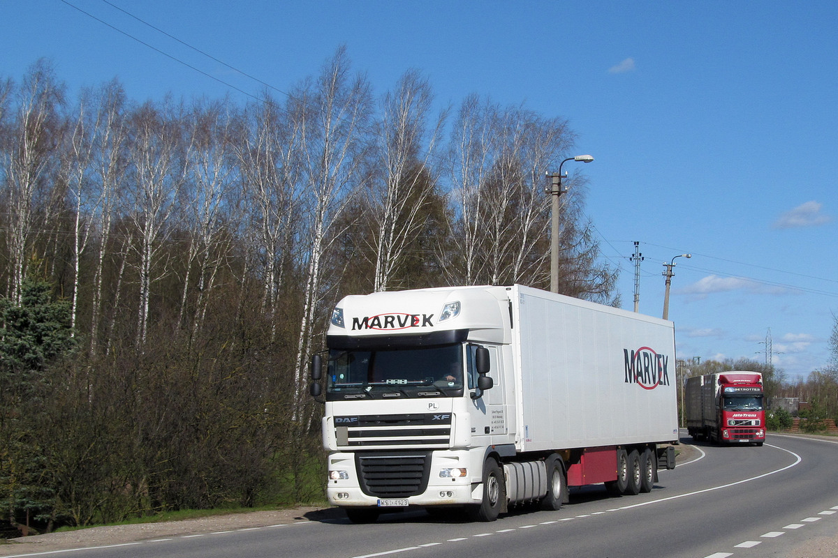 Польша, № WS 4Y23 — DAF XF105 FT