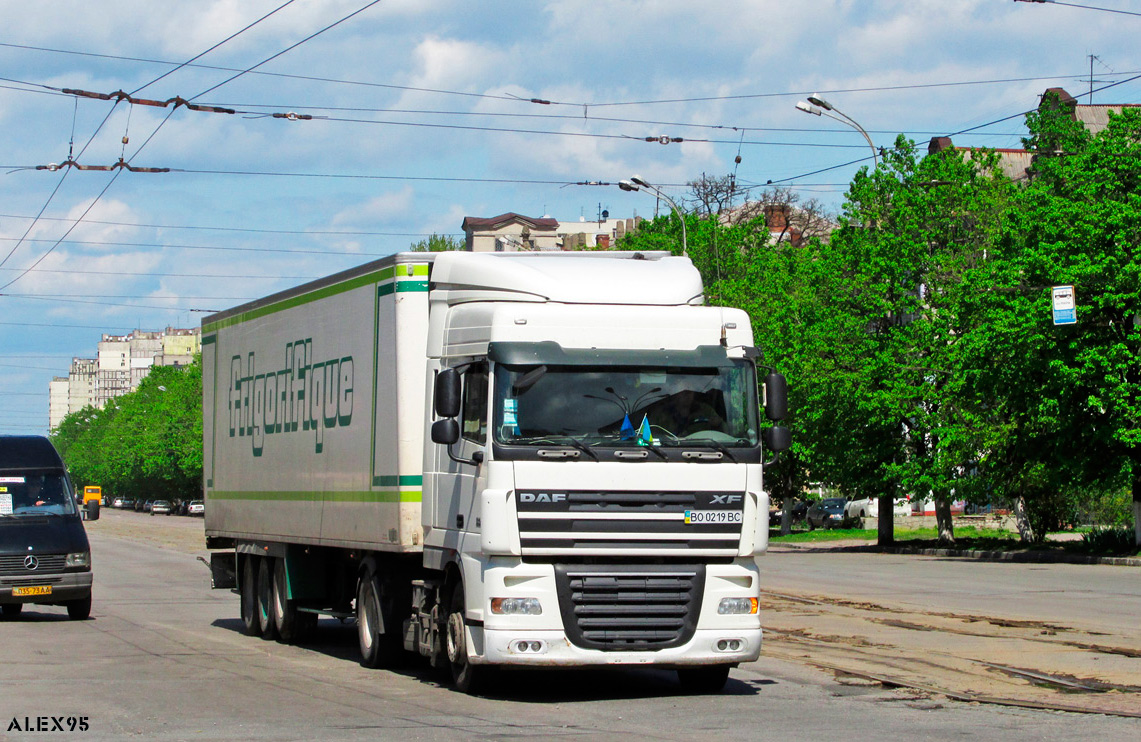 Тернопольская область, № ВО 0219 ВС — DAF XF105 FT