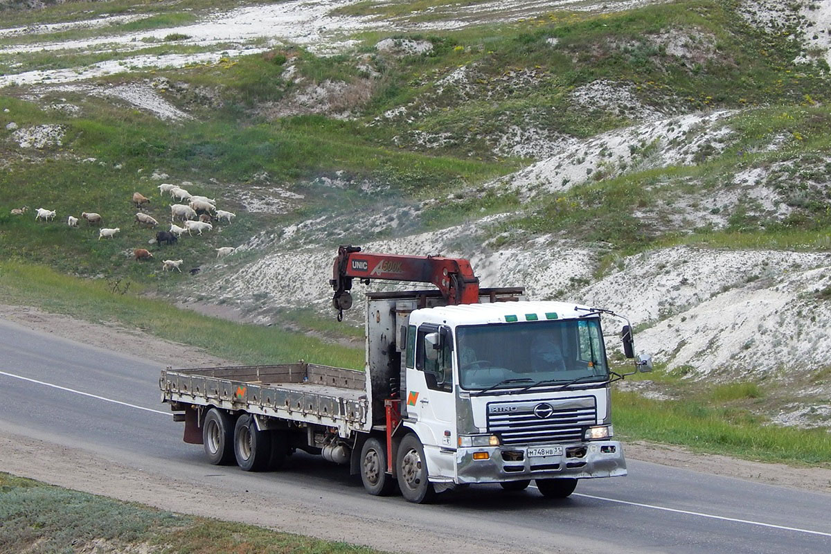 Белгородская область, № М 748 НВ 31 — Hino Profia