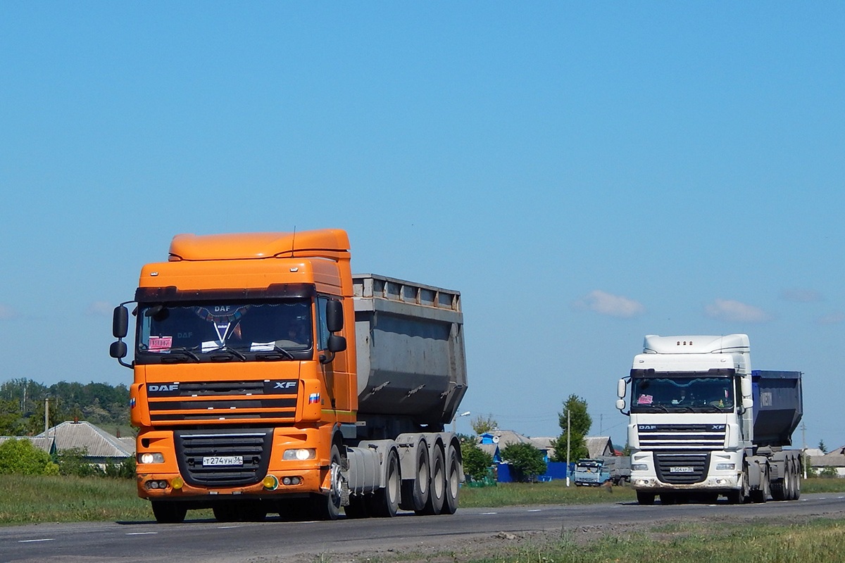 Воронежская область, № Т 274 УН 36 — DAF XF105 FT; Воронежская область, № С 504 ХР 36 — DAF XF105 FT