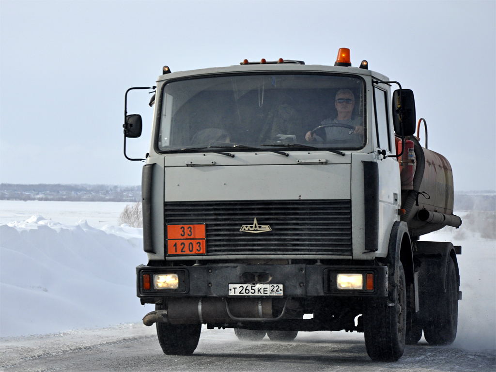 Алтайский край, № Т 265 КЕ 22 — МАЗ-533702