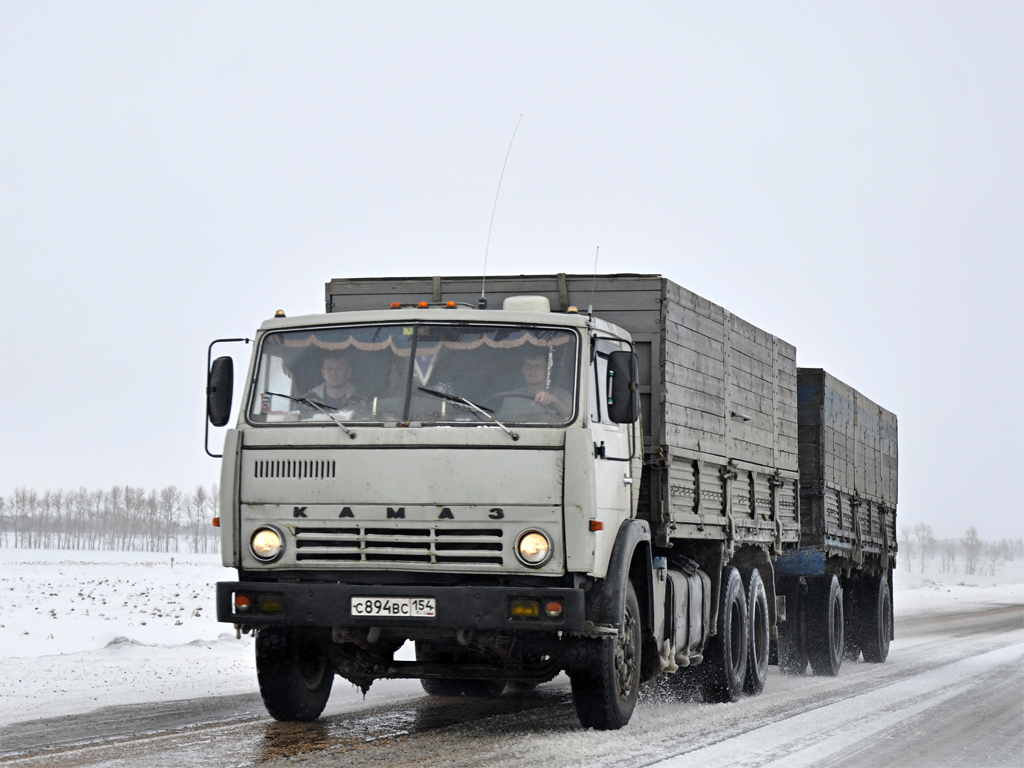 Новосибирская область, № С 894 ВС 154 — КамАЗ-53212