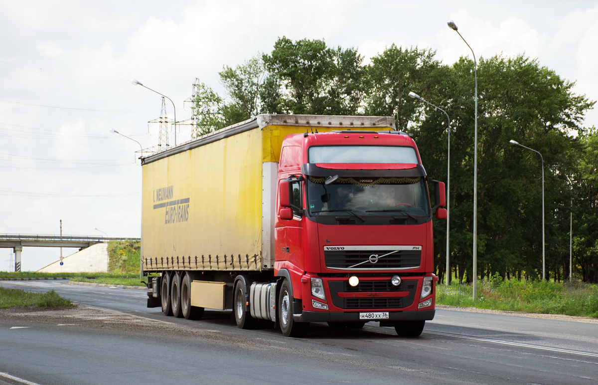 Воронежская область, № Н 480 ХХ 36 — Volvo ('2008) FH-Series