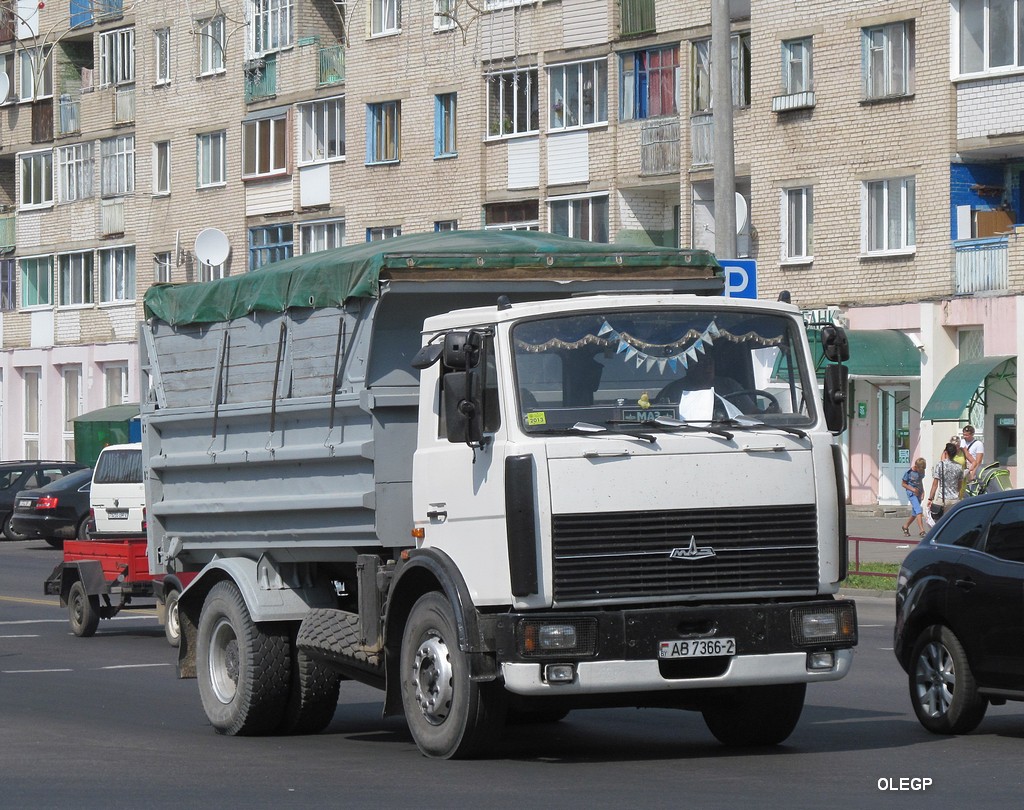 Витебская область, № АВ 7366-2 — МАЗ-5551 (общая модель)