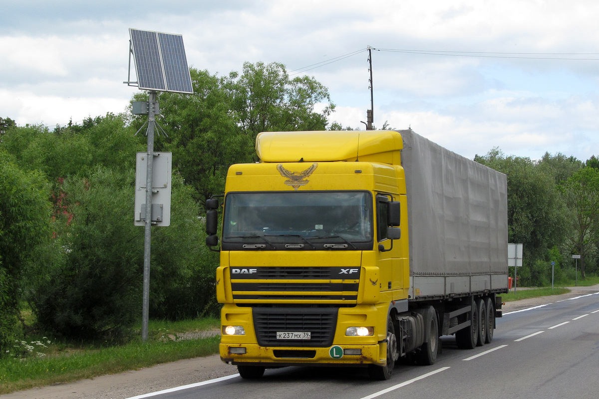 Калининградская область, № К 237 МХ 39 — DAF XF95 FT