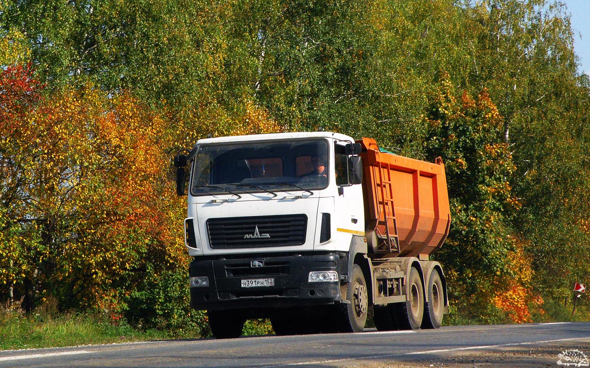 Нижегородская область, № Н 391 РН 152 — МАЗ-6501W6