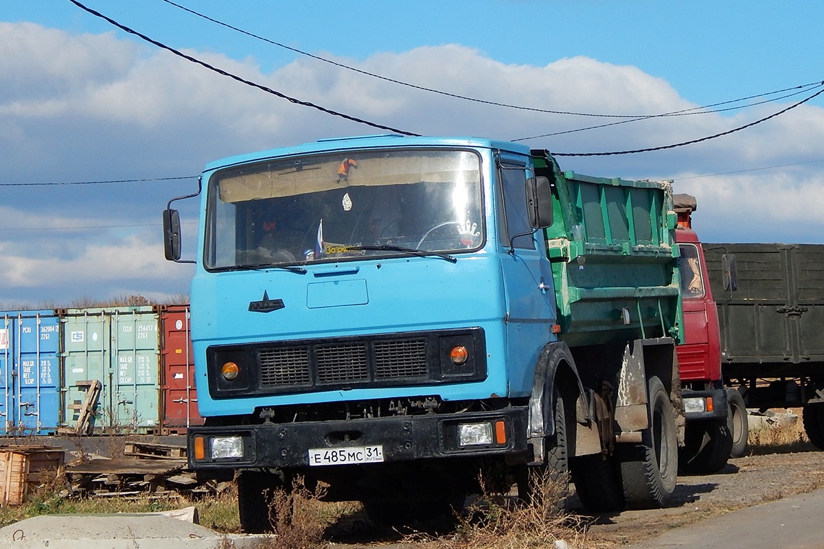 Белгородская область, № Е 485 МС 31 — МАЗ-555106