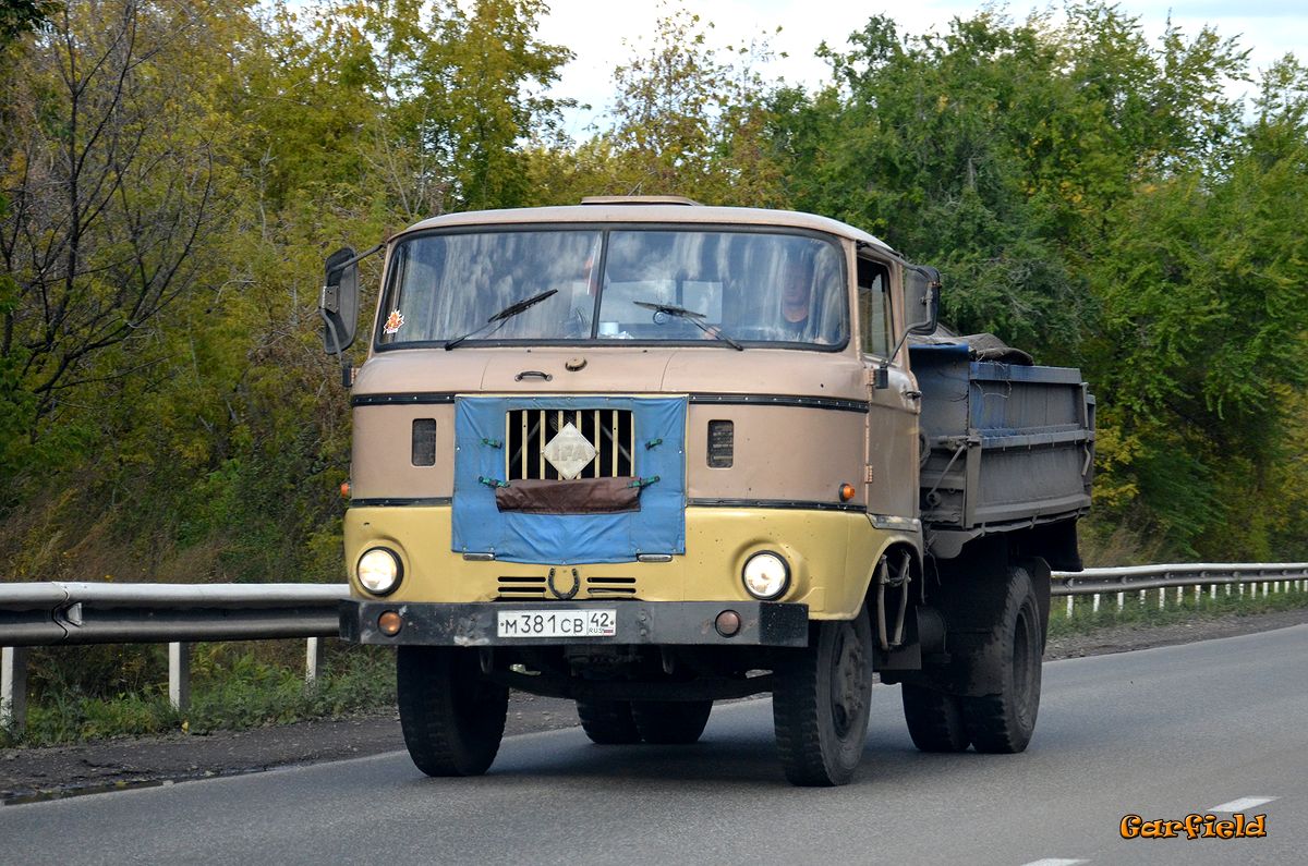 Кемеровская область, № М 381 СВ 42 — IFA W50L/K