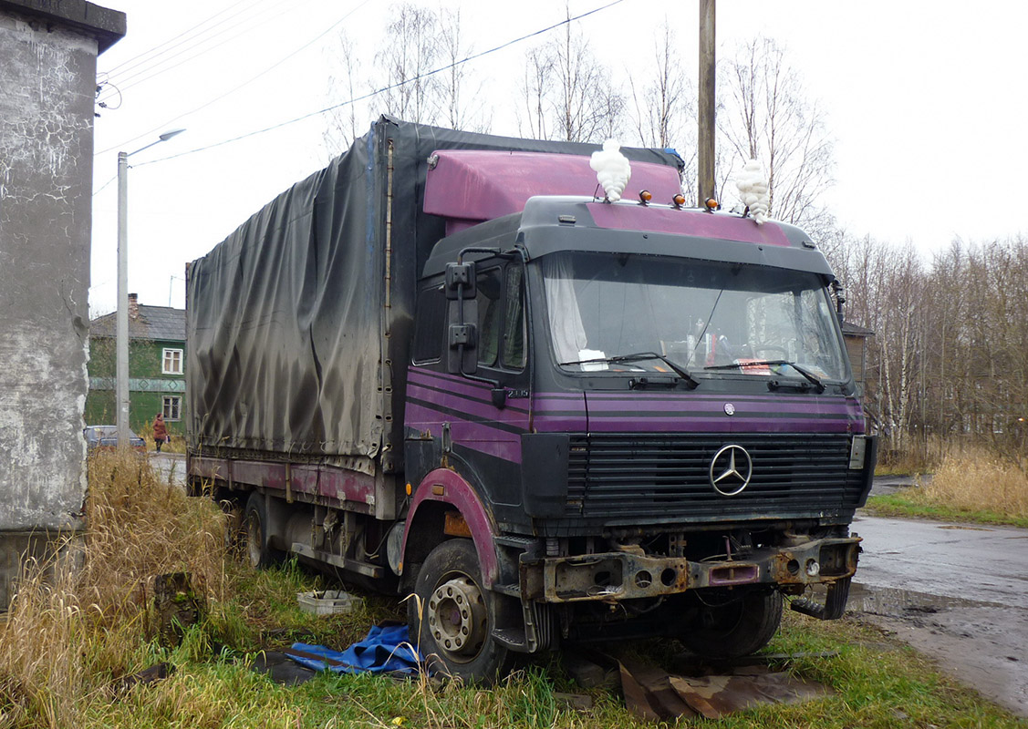 Архангельская область, № К 260 РН 29 — Mercedes-Benz SK 2435