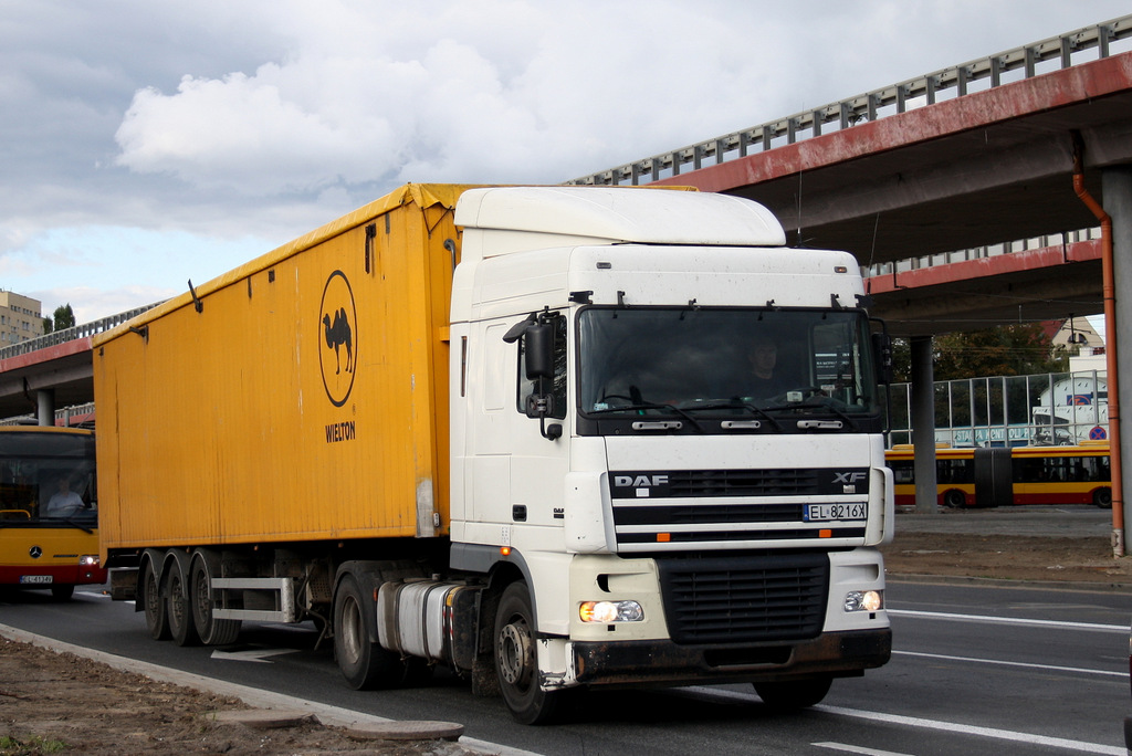 Польша, № EL 8216X — DAF XF95 FT