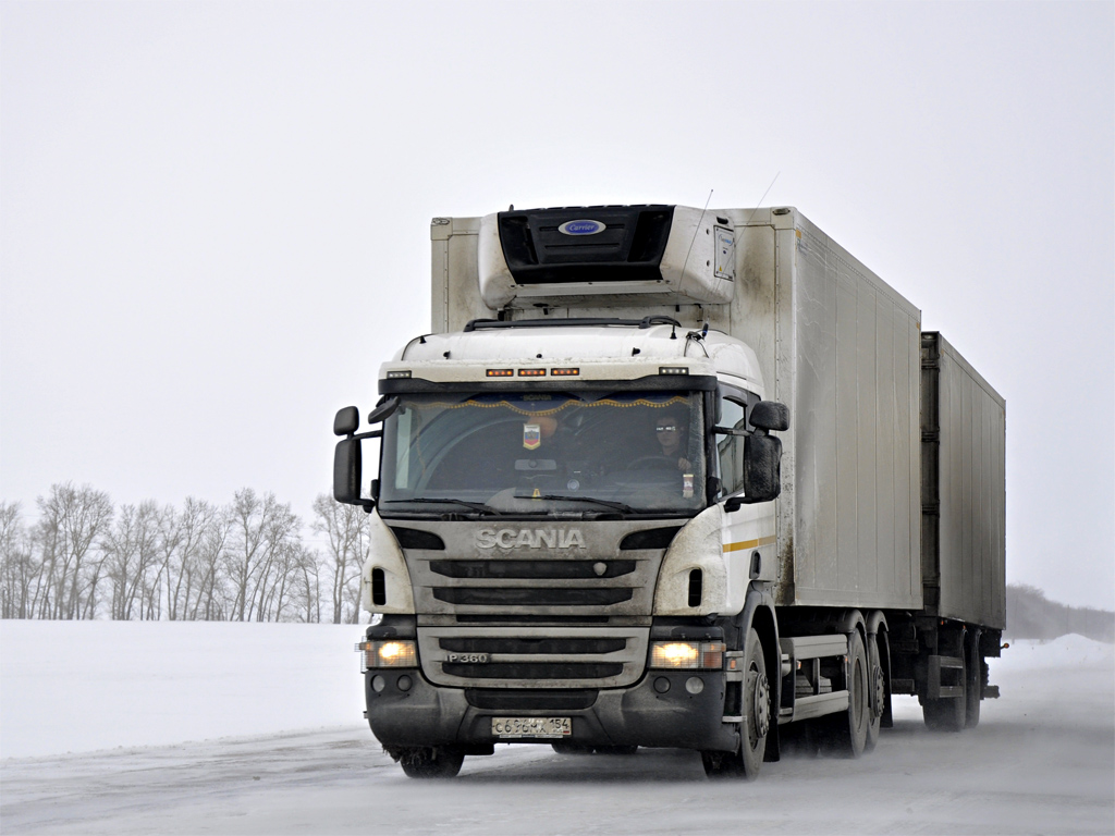 Новосибирская область, № С 696 МХ 154 — Scania ('2011) P360