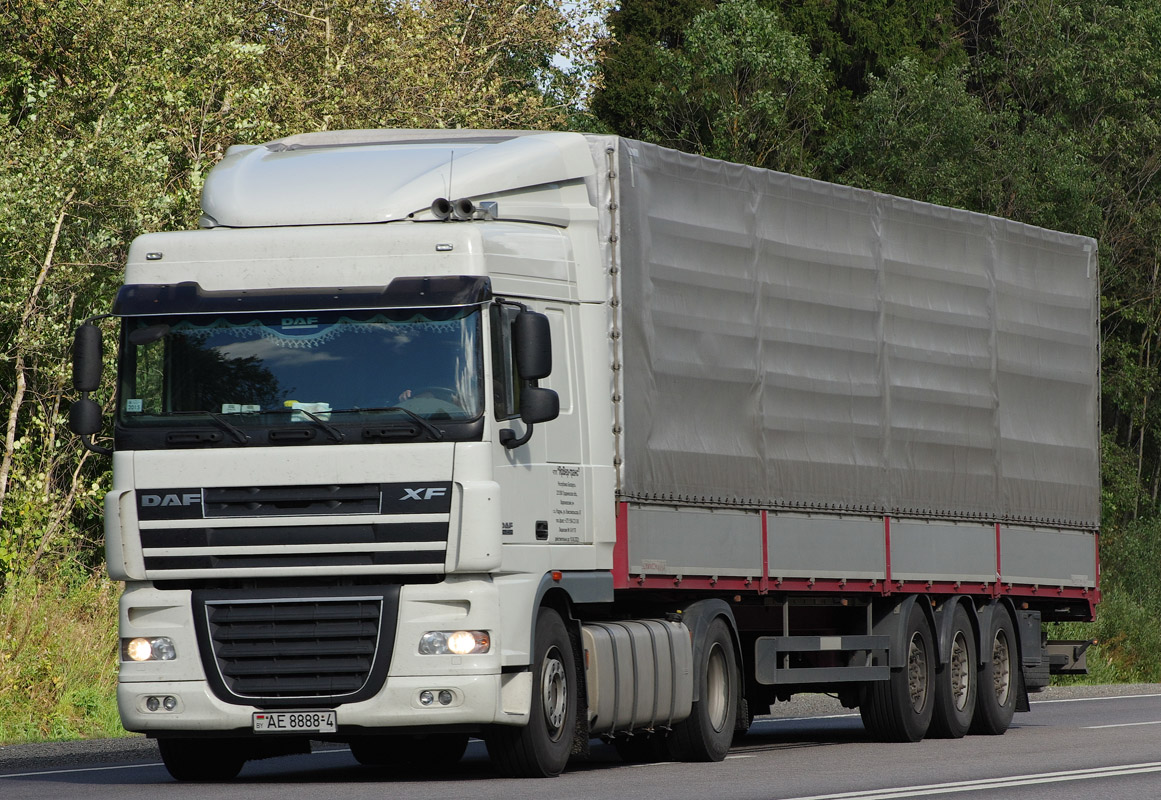 Гродненская область, № АЕ 8888-4 — DAF XF105 FT