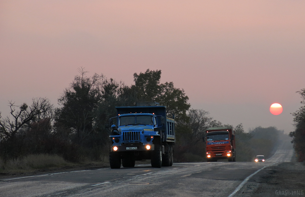 Оренбургская область, № С 388 СН 56 — Урал-4320-40