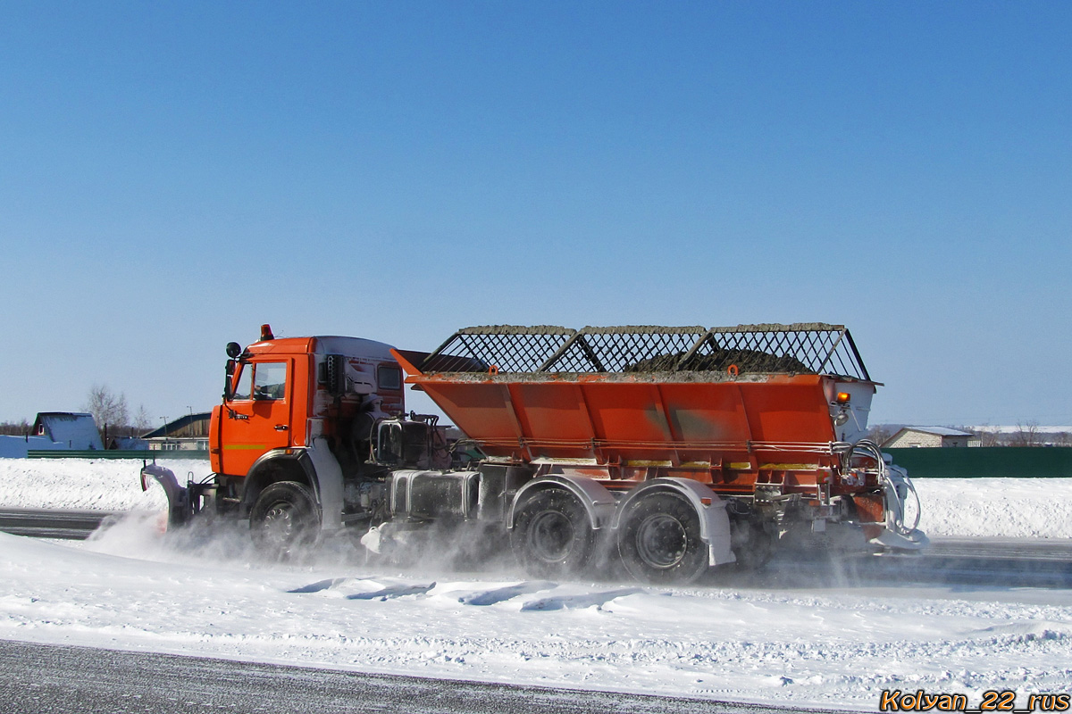 Алтайский край, № Н 115 УМ 22 — КамАЗ-65115-D3