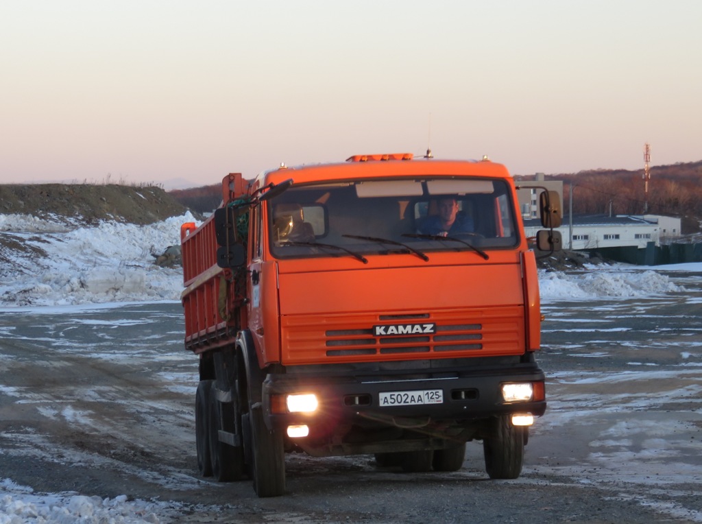 Приморский край, № А 502 АА 125 — КамАЗ-65115-30