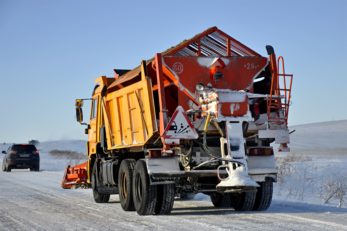 Алтайский край, № М 863 МР 18 — КамАЗ-65115-62