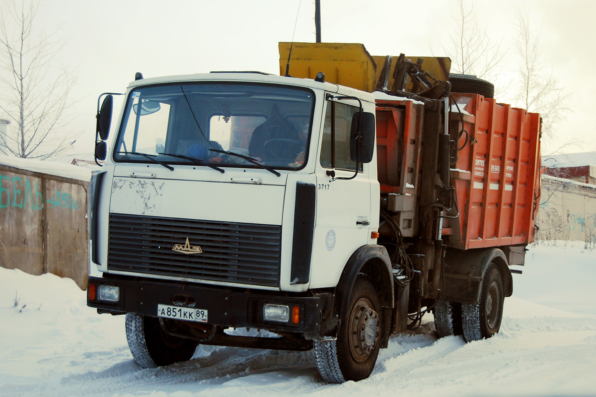 Ямало-Ненецкий автоном.округ, № 3717 — МАЗ-5337A2