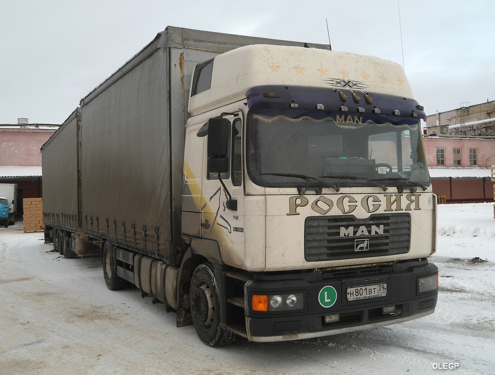 Калининградская область, № Н 801 ВТ 39 — MAN F2000 19.464