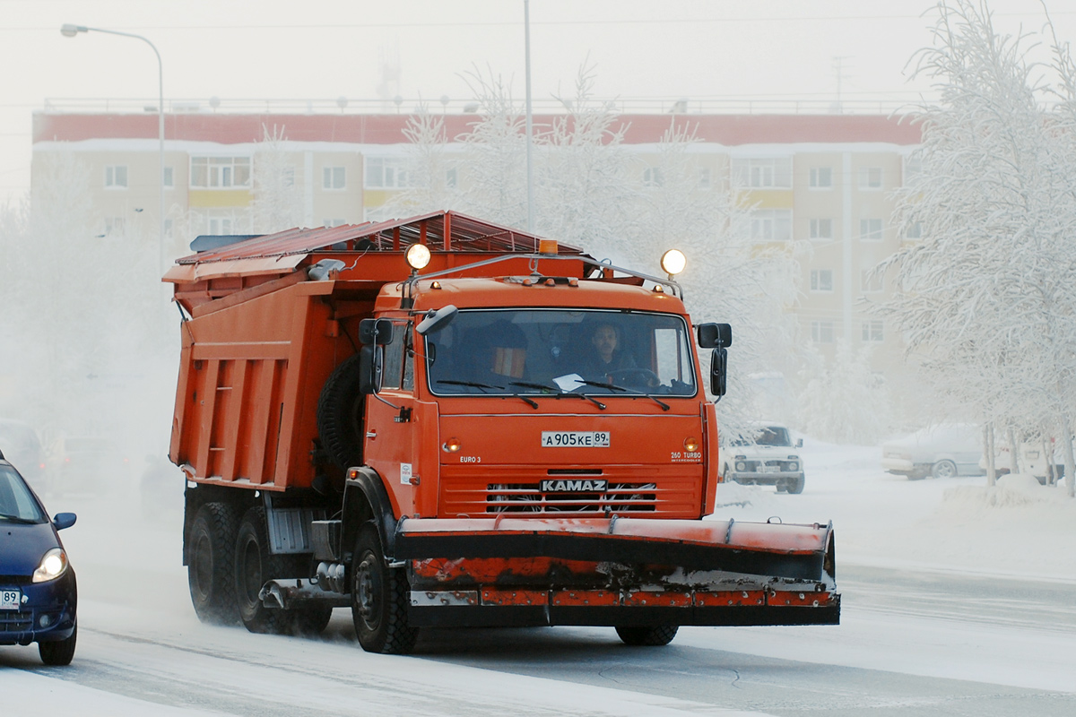 Ямало-Ненецкий автоном.округ, № А 905 КЕ 89 — КамАЗ-65115 [651150]