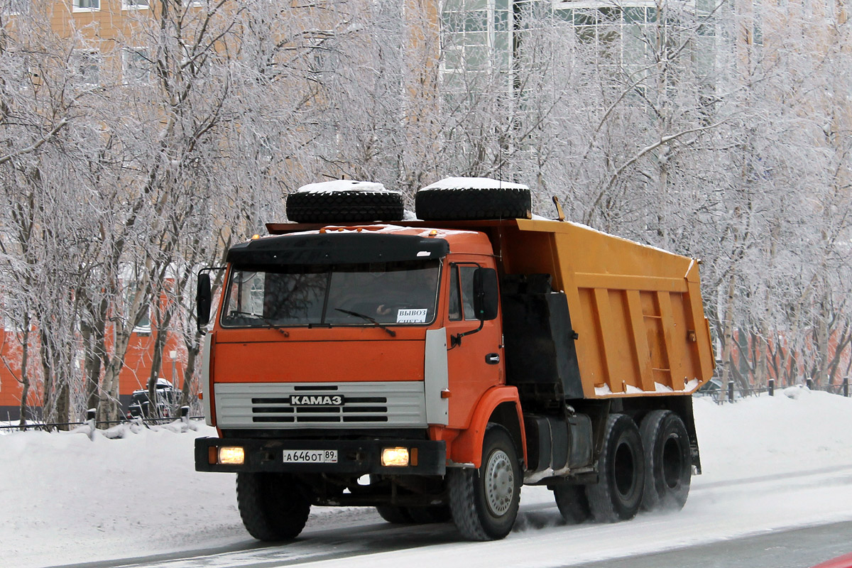 Ямало-Ненецкий автоном.округ, № А 646 ОТ 89 — КамАЗ-65115-13 [65115N]