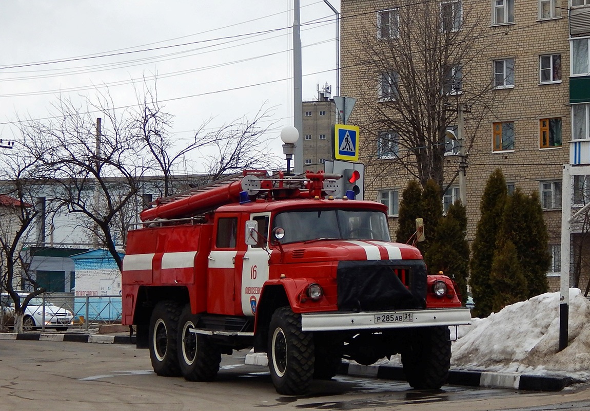 Белгородская область, № Р 285 АВ 31 — ЗИЛ-131Н (УАМЗ)