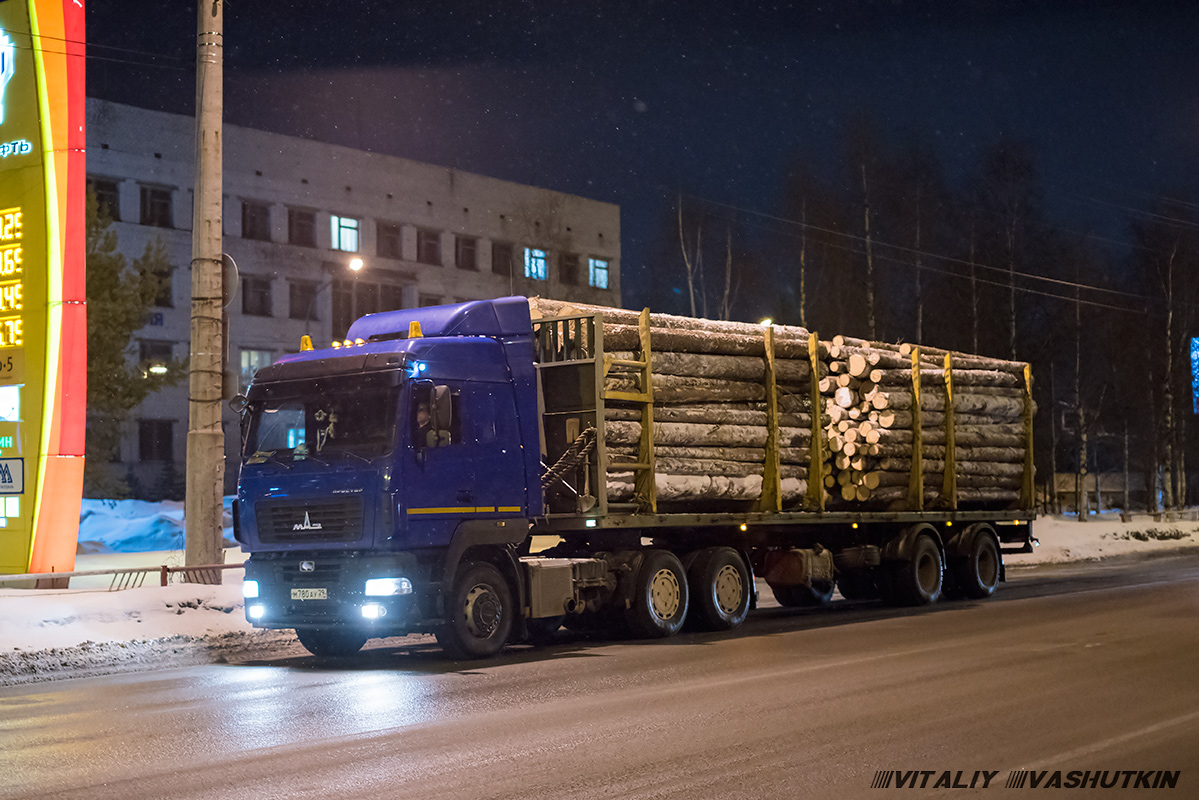 Архангельская область, № М 780 АУ 29 — МАЗ-643019