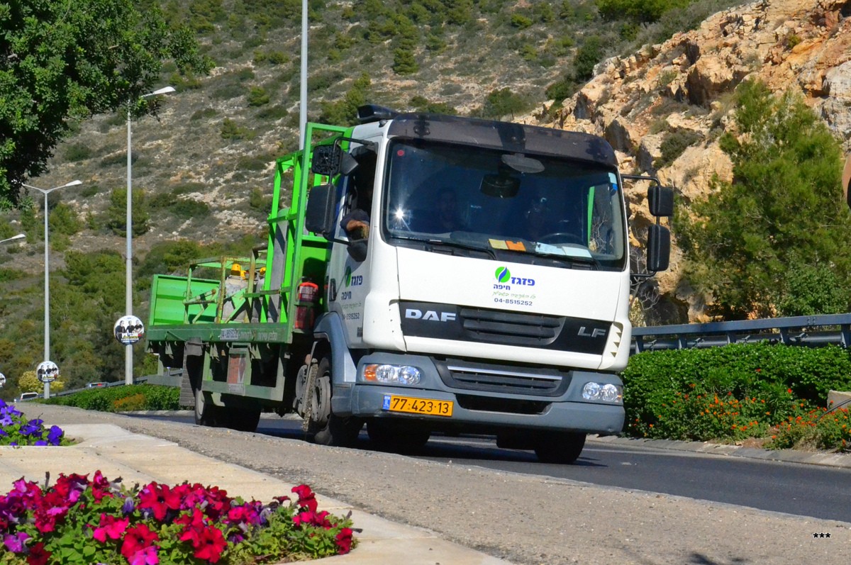 Израиль, № 77-423-13 — DAF LF45 FA