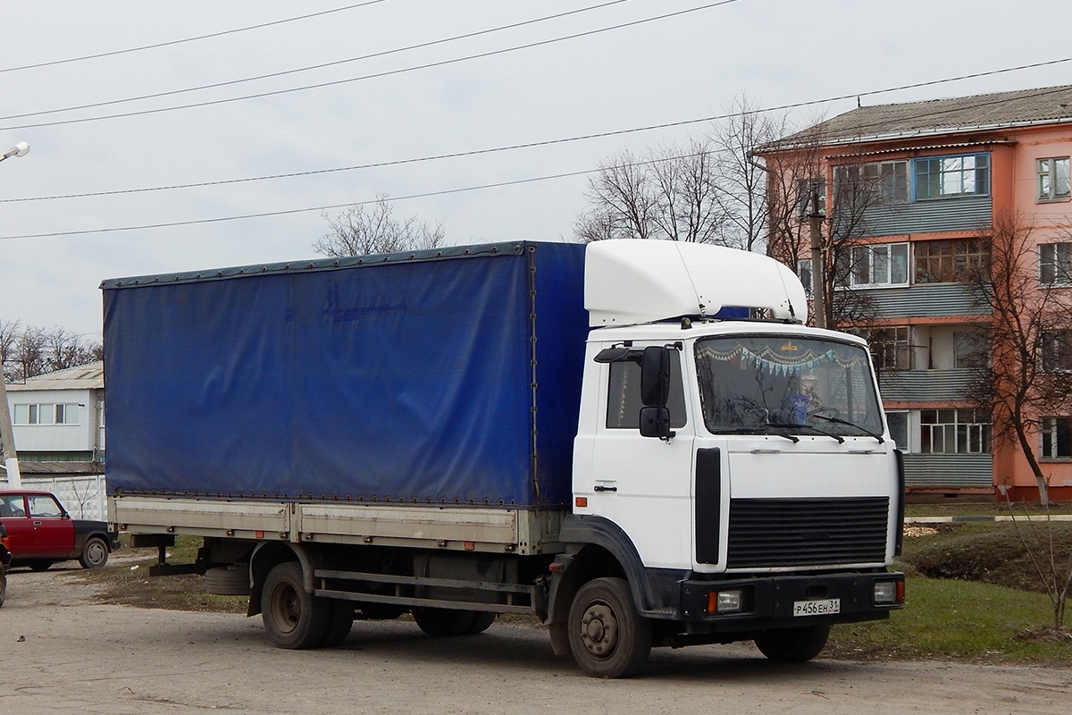 Белгородская область, № Р 456 ЕН 31 — МАЗ-437043 "Зубрёнок"