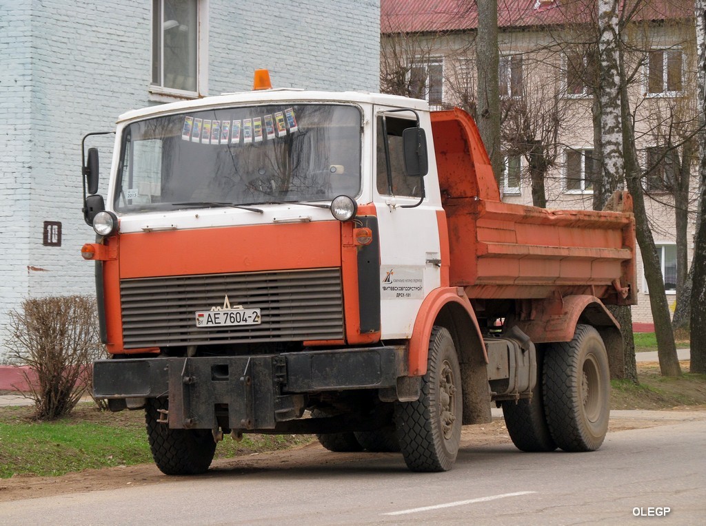 Витебская область, № АЕ 7604-2 — МАЗ-5551 (общая модель)