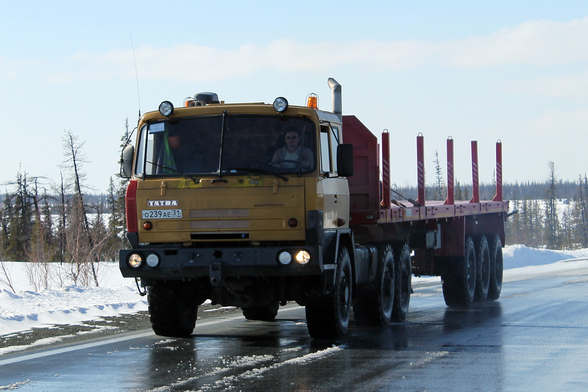 Белгородская область, № О 239 АЕ 31 — Tatra 815 VN