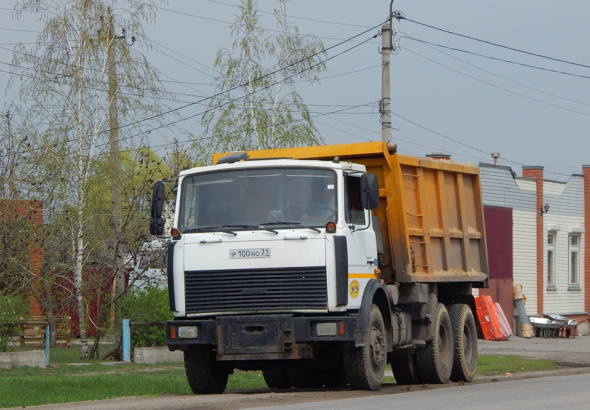 Белгородская область, № Р 100 НО 31 — МАЗ-5516A5