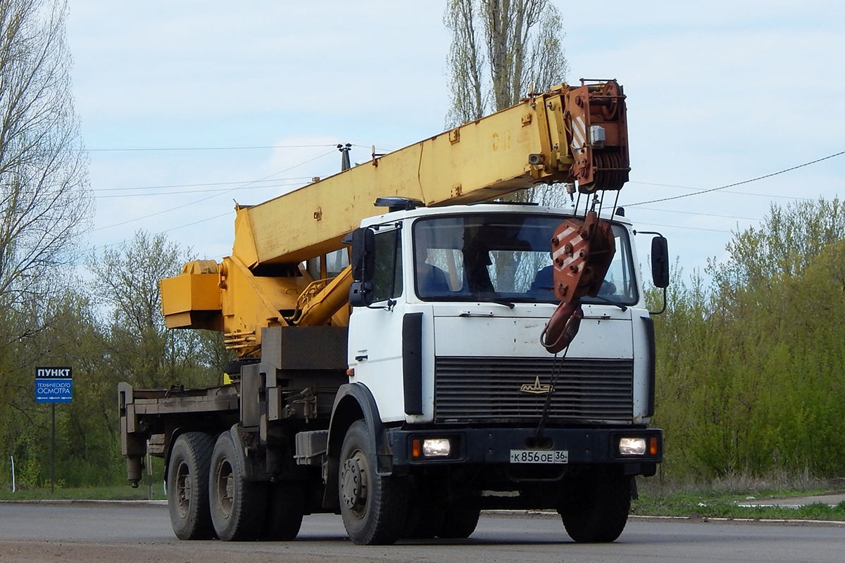 Воронежская область, № К 856 ОЕ 36 — МАЗ-6303A3