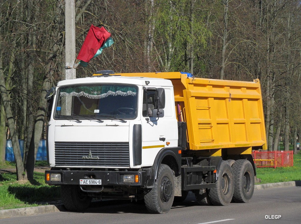 Могилёвская область, № АЕ 6984-6 — МАЗ-5516 (общая модель)