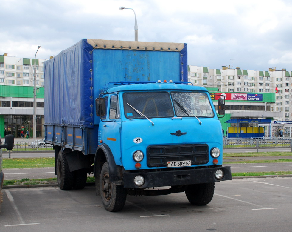 Гомельская область, № АВ 5039-3 — МАЗ-5335