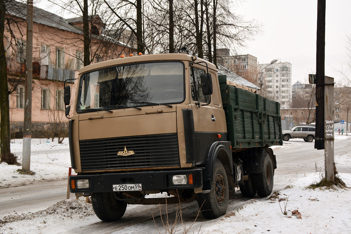 Пермский край, № Е 250 ОМ 59 — МАЗ-53371